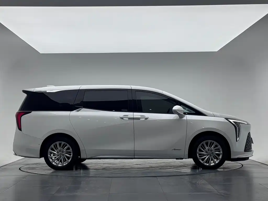 Century 2023 2.0T Six-seater Yuanshi Edition купить на сайте DeffCars