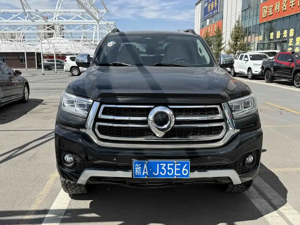 Cannon 2023 2.0T passenger version automatic gasoline four-wheel drive exclusive model GW4C20B купить на сайте DeffCars