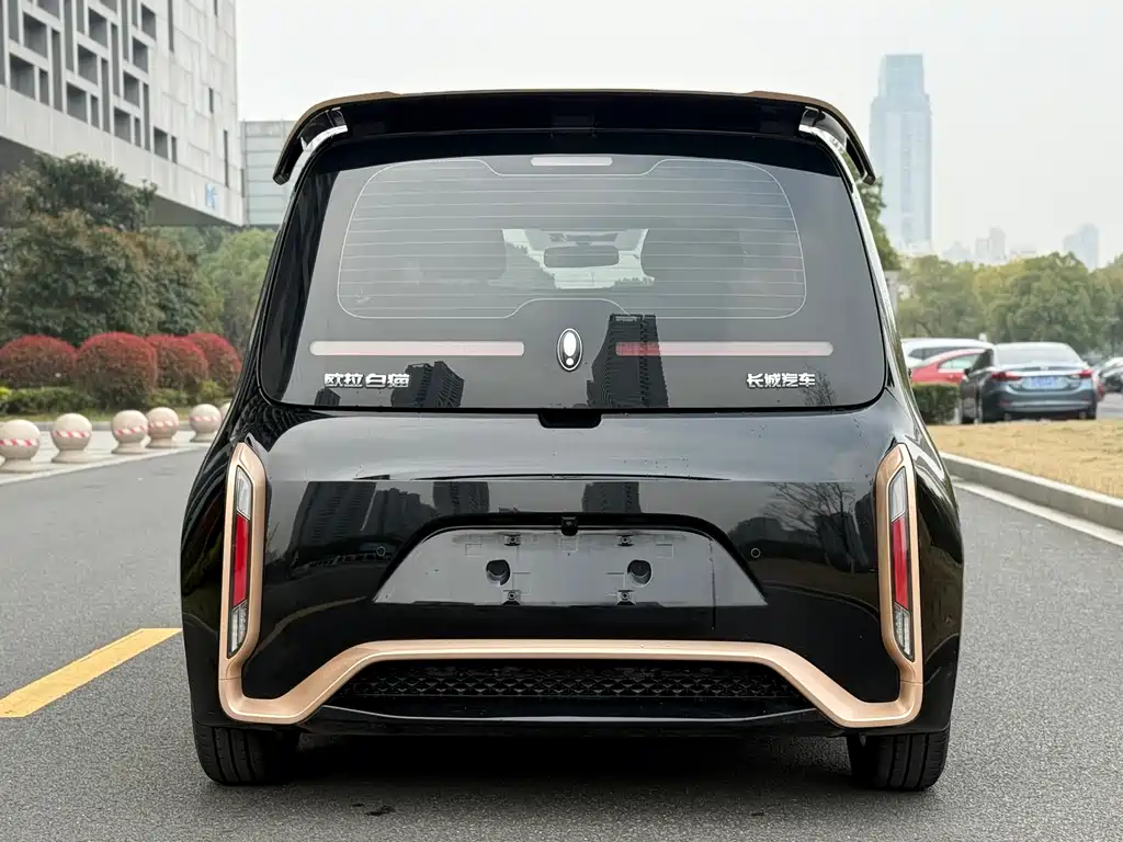 Euler White Cat 2022 Little Wildcat Edition 360km Luxury Model Three Yuan Lithium купить на сайте DeffCars