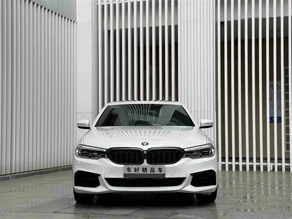 BMW 5 Series 2020 530Li Exclusive M Sports Package купить на сайте DeffCars
