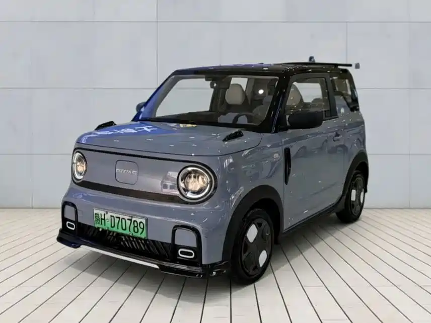 Panda (Geome) 2024 200km Cartridge купить на сайте DeffCars