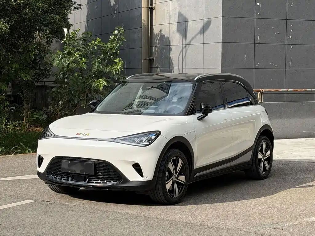 smart elf #1 2024 smart standard version купить на сайте DeffCars
