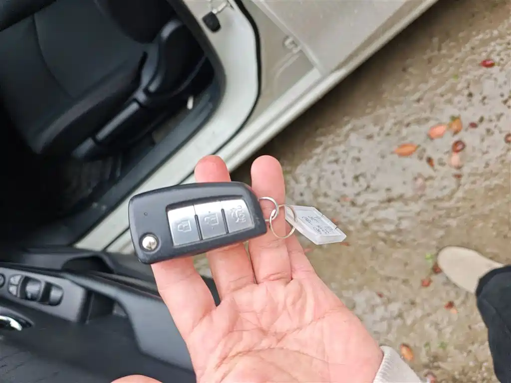 Bluebird 2019 1.6L manual cool version National VI купить на сайте DeffCars