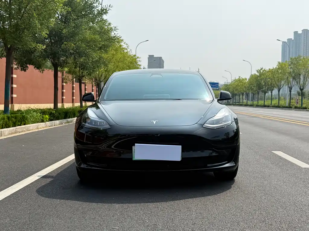 Model 3 2022 rear-wheel drive version купить на сайте DeffCars