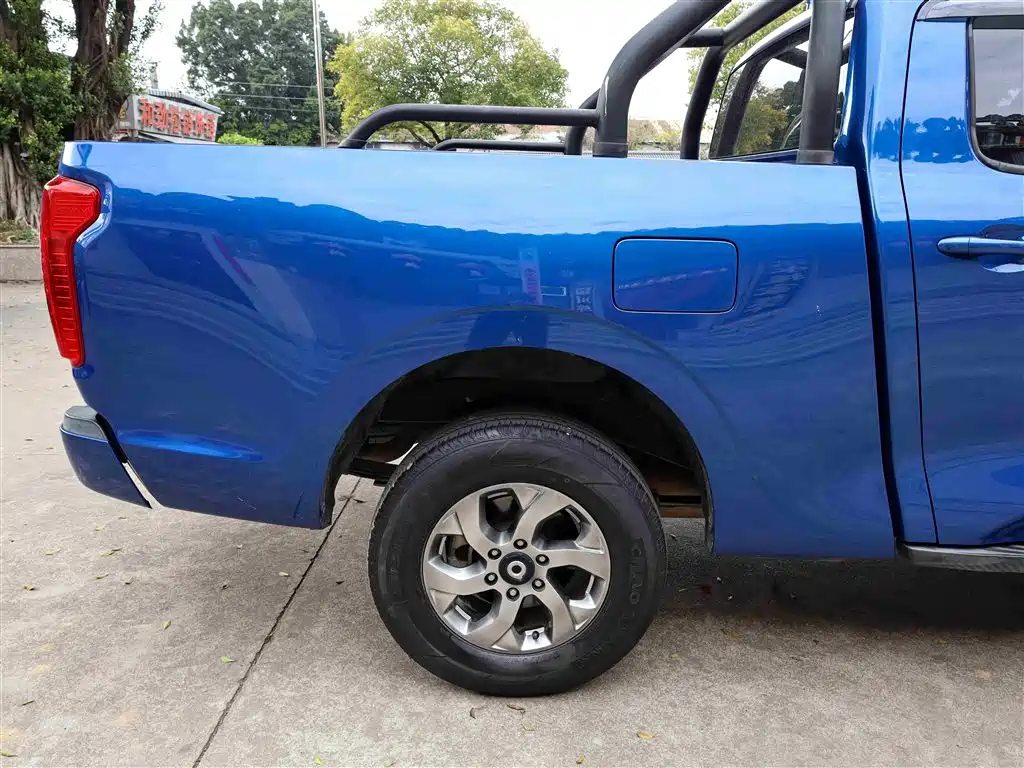 Cannon 2021 2.0T commercial version automatic diesel two-wheel drive elite long box GW4D20M купить на сайте DeffCars