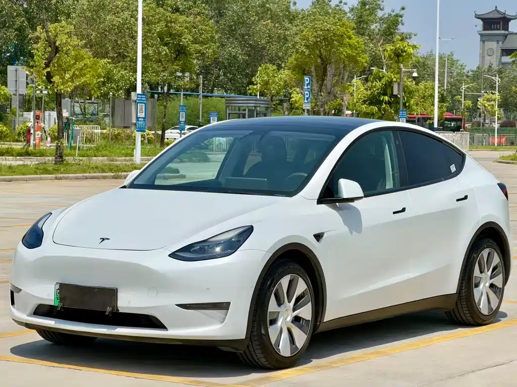Model Y 2021 standard range rear-wheel drive version купить на сайте DeffCars