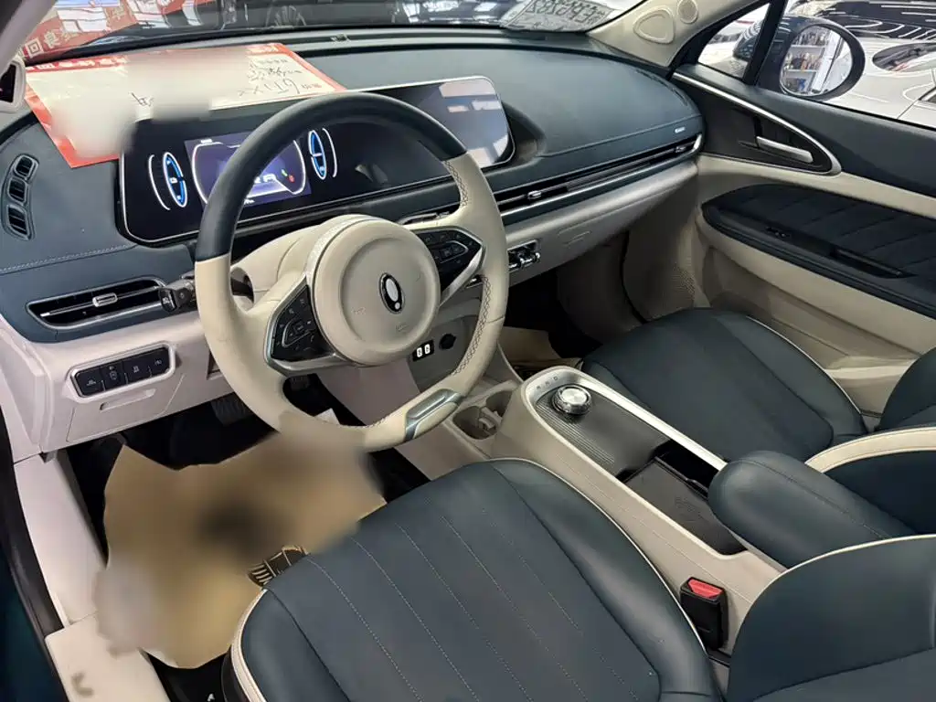 Euler Good Cat 2021 Model 400km Standard Range Athena Edition Lithium Iron Phosphate купить на сайте DeffCars