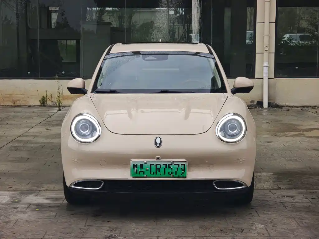 Euler Good Cat 2022 model 400km standard battery life luxury model lithium iron phosphate купить на сайте DeffCars