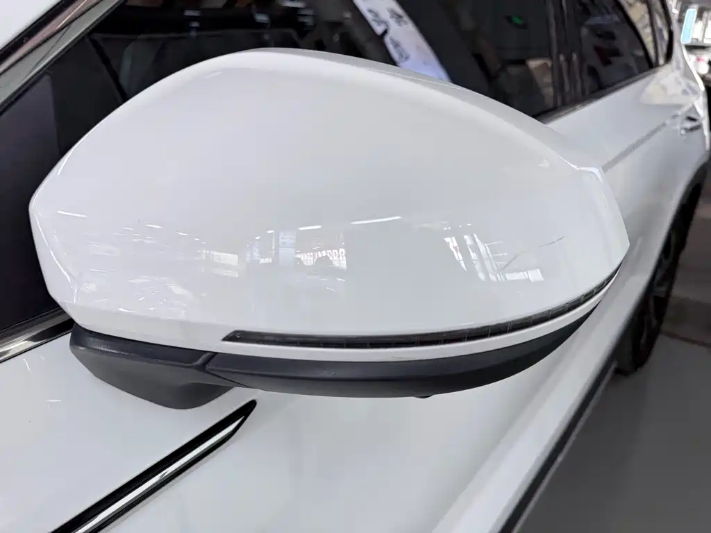 Tuyue 2023 300TSI two-wheel drive full moon version купить на сайте DeffCars