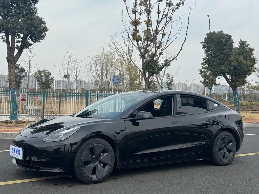 Model 3 2022 rear-wheel drive version купить на сайте DeffCars