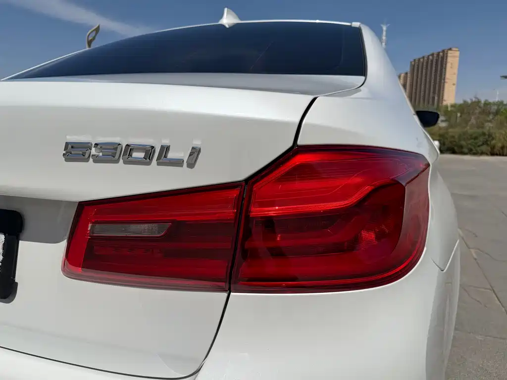 BMW 5 Series 2019 530Li Leading M Sports Package купить на сайте DeffCars