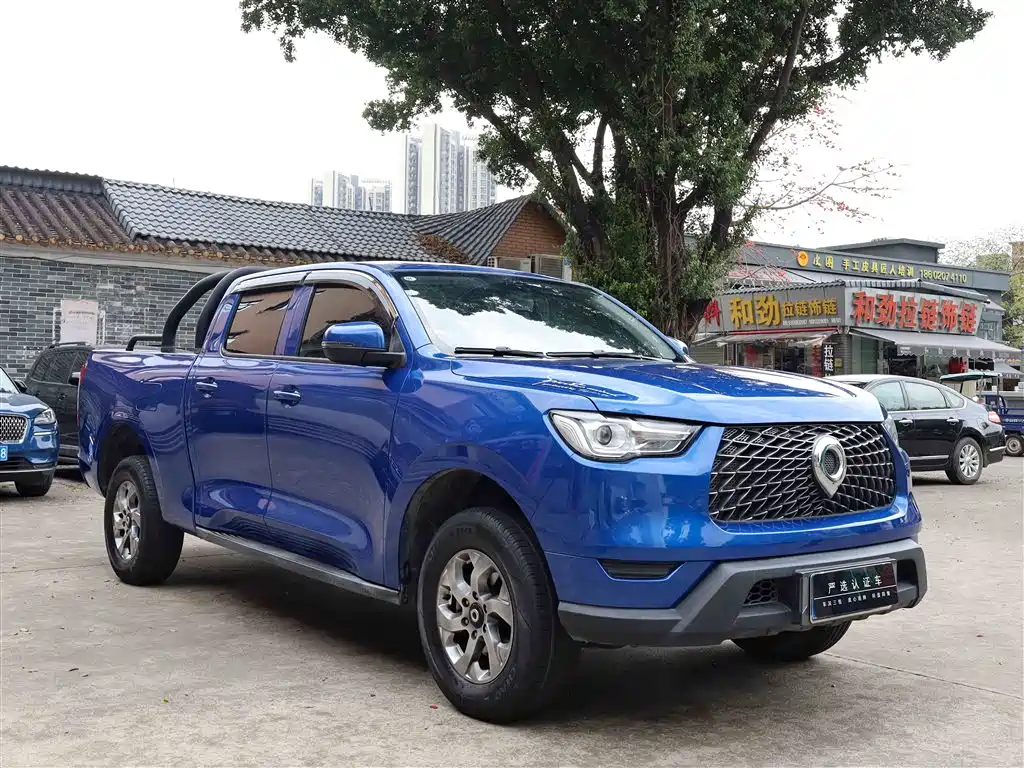 Cannon 2021 2.0T commercial version automatic diesel two-wheel drive elite long box GW4D20M купить на сайте DeffCars