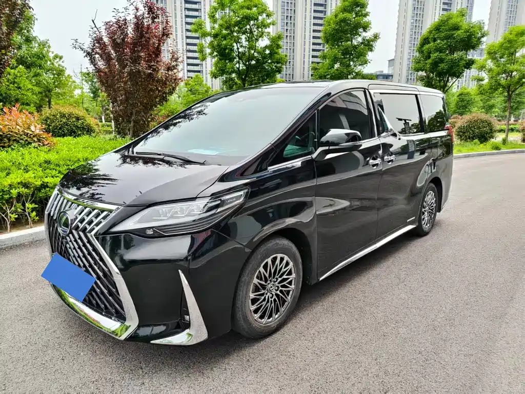 Wilfa 2019 Shuangqing 2.5L HV Premium Edition купить на сайте DeffCars