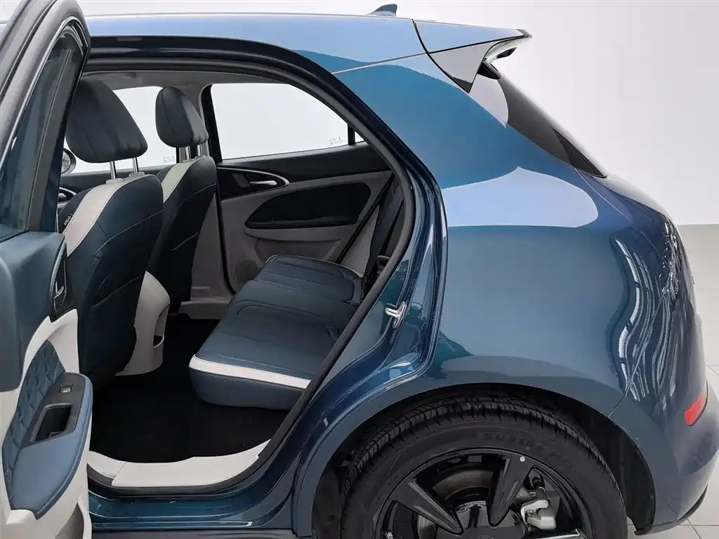 Euler Good Cat 2024 Model 401km Luxury Model купить на сайте DeffCars
