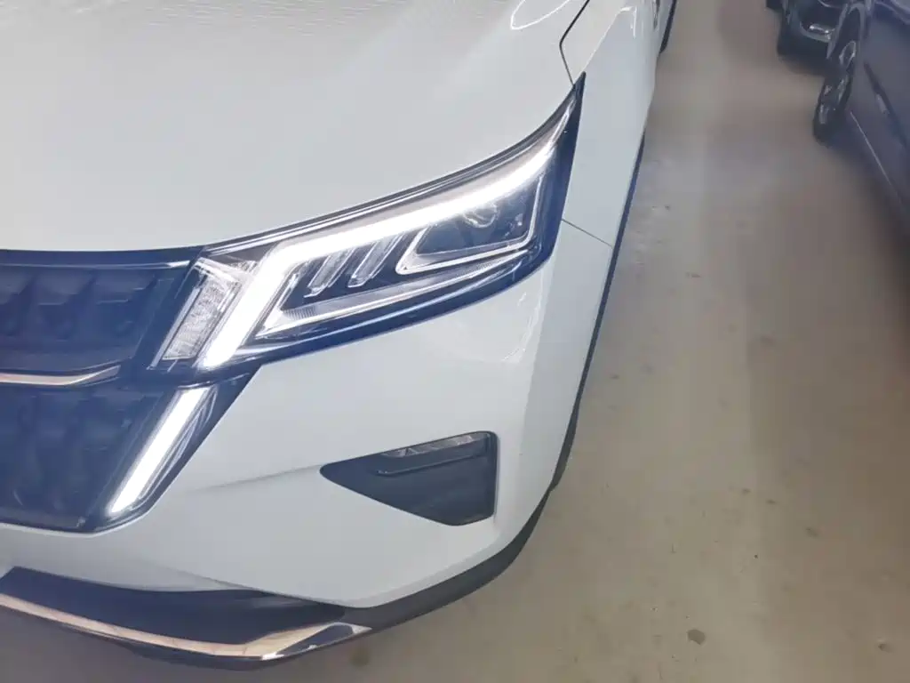 Xingchen (Asta) 2022 2.0L DHT купить на сайте DeffCars