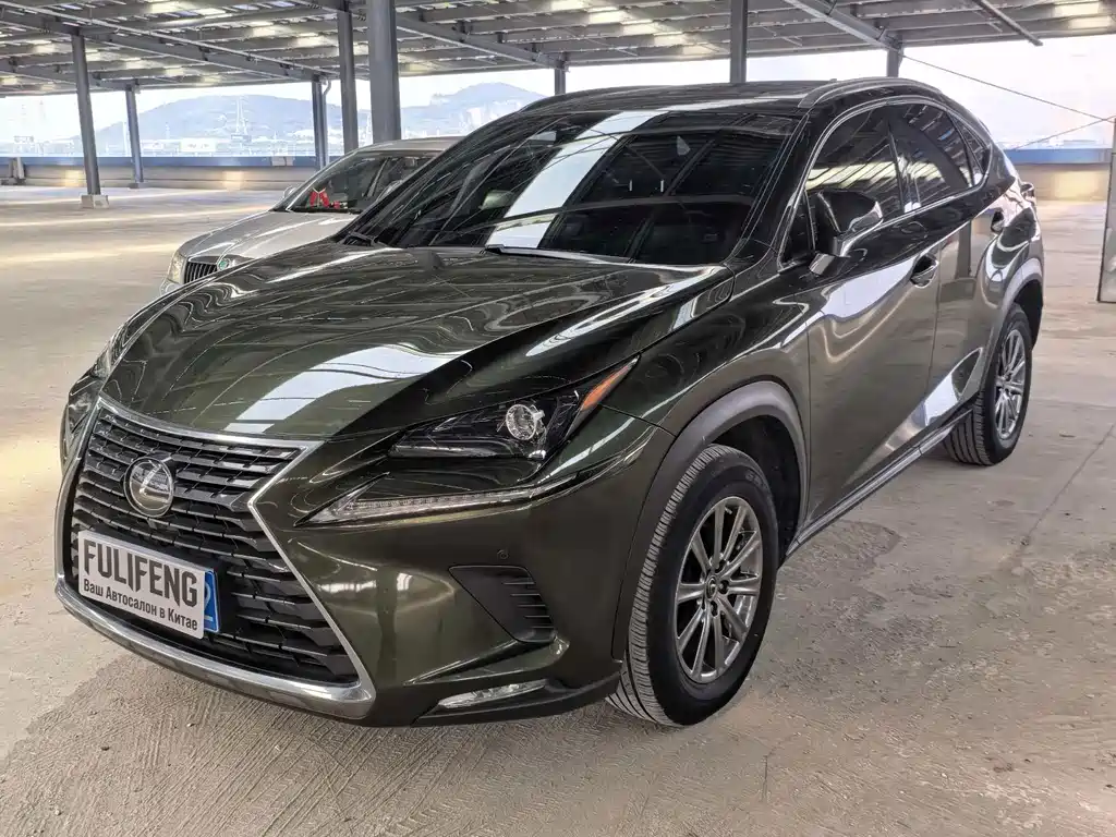 Lexus NX 2020 200 AWD Fengshang Edition National VI купить на сайте DeffCars