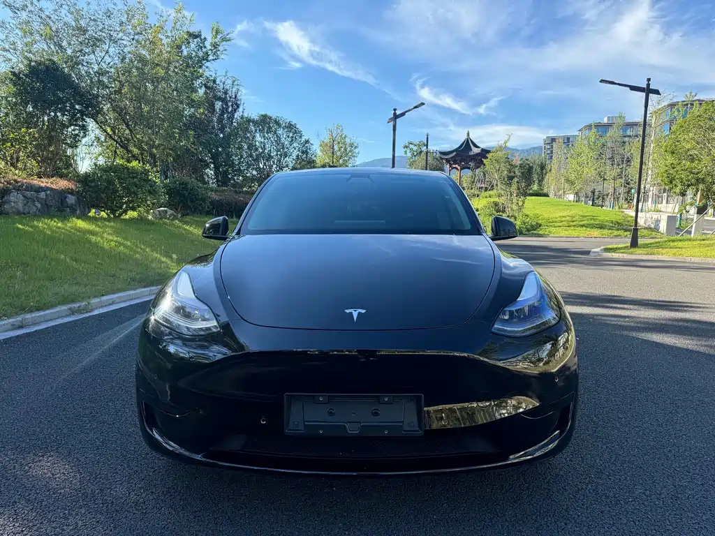 Model Y 2022 rear-wheel drive version купить на сайте DeffCars