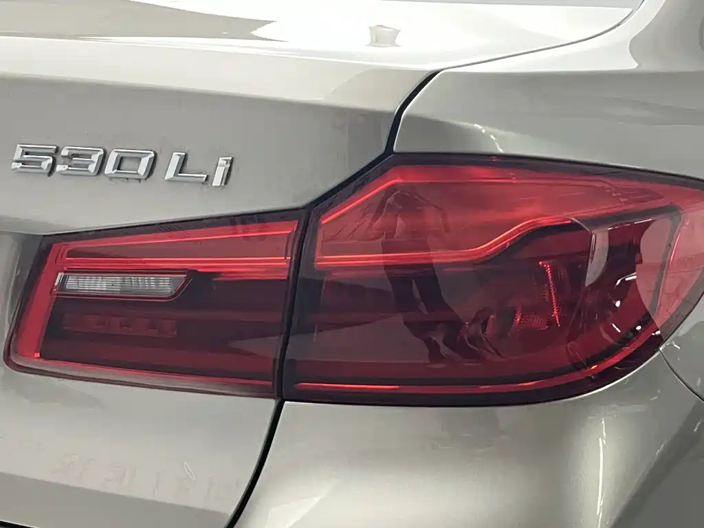 BMW 5 Series 2018 Modified 530Li Leading Luxury Package купить на сайте DeffCars