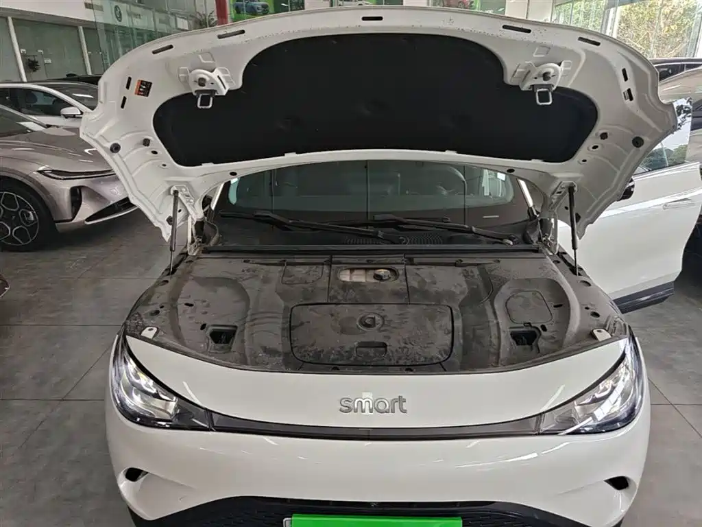 smart Elf #3 2023 Pro+ version купить на сайте DeffCars