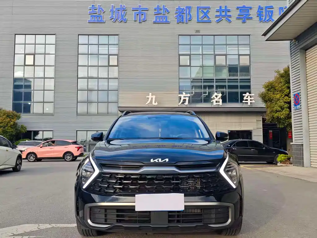Lion Platinum Extension 2025 2.0T two-wheel drive premium version купить на сайте DeffCars