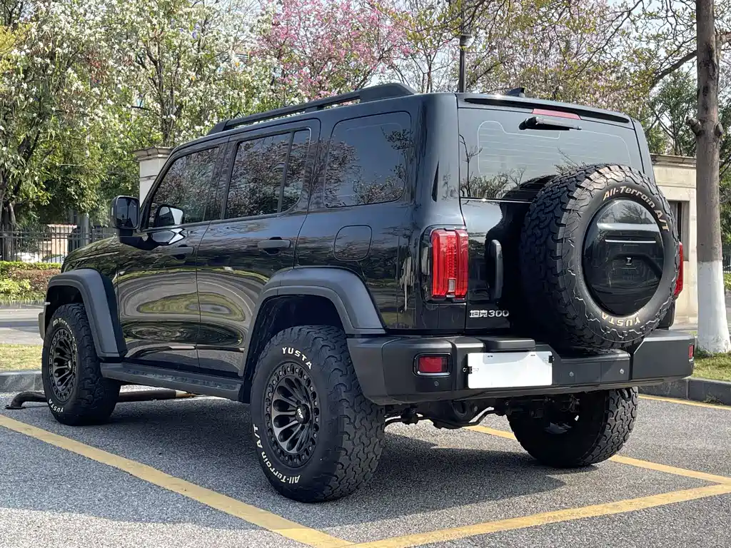 Tank 300 2021 Off-Road Version 2.0T Conqueror купить на сайте DeffCars