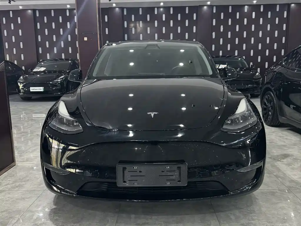 Model Y 2021 standard range rear-wheel drive version купить на сайте DeffCars