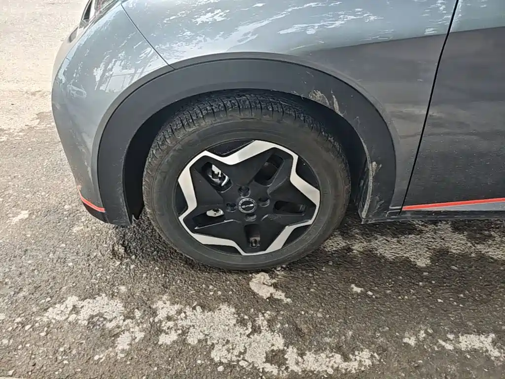 Dolphin 2021 405km fashion version купить на сайте DeffCars