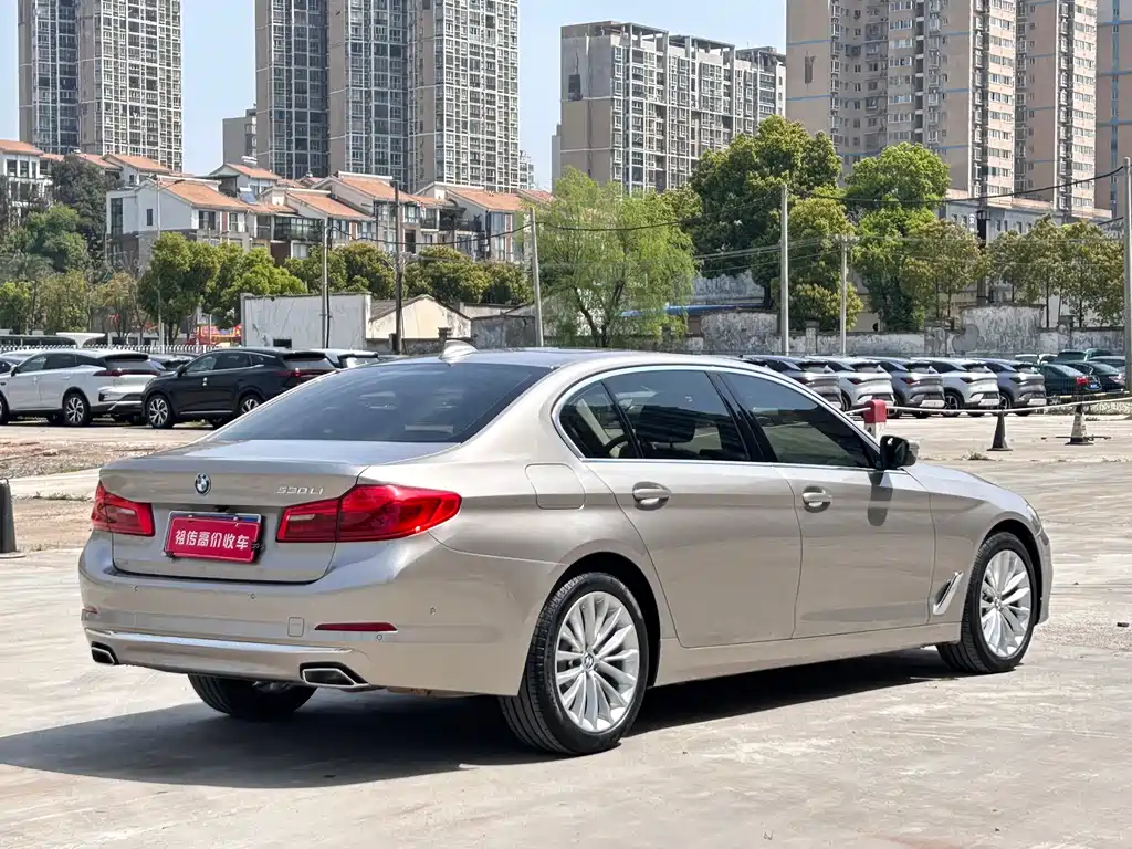 BMW 5 Series 2020 530Li Leading Luxury Package купить на сайте DeffCars