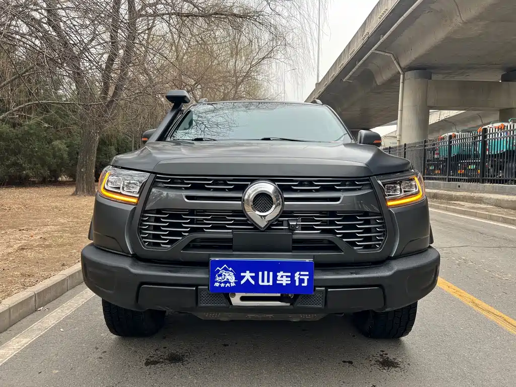 Cannon 2021 2.0T off-road version automatic gasoline four-wheel drive Everest version GW4C20B купить на сайте DeffCars