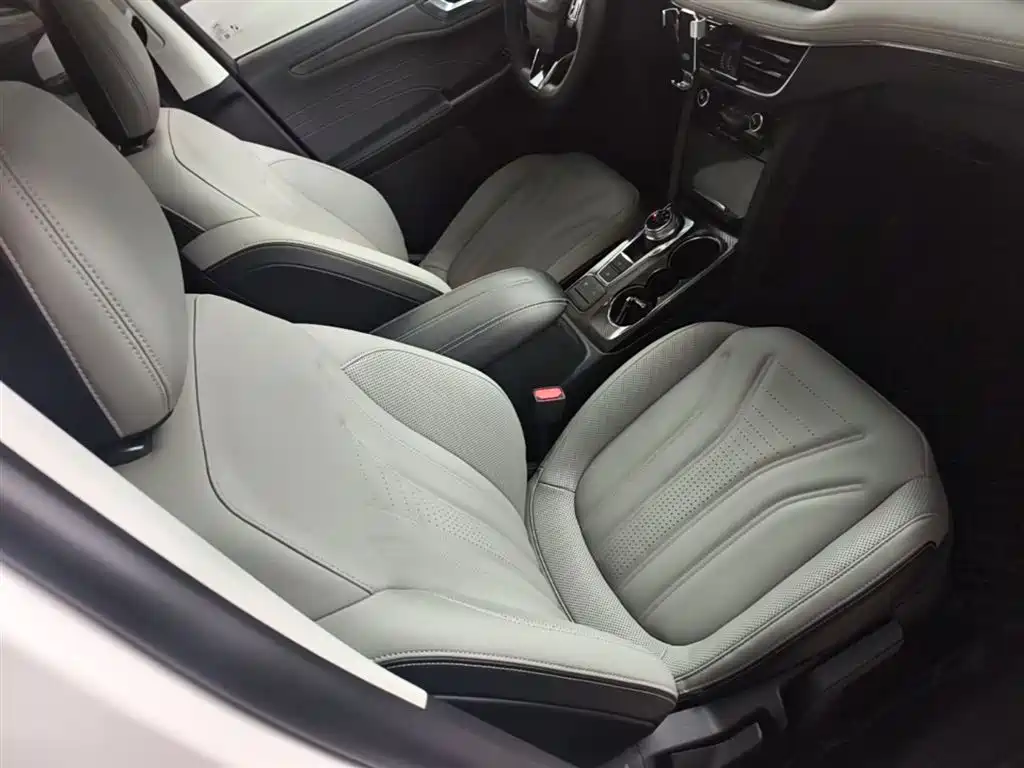 Ruiji 2020 EcoBoost 245 two-wheel drive Yaoxiang model купить на сайте DeffCars