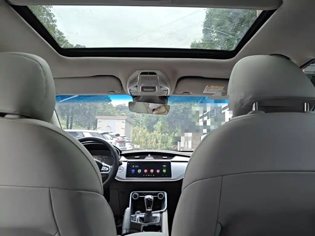 Binrui 2018 14T Manual Binzhi Edition купить на сайте DeffCars