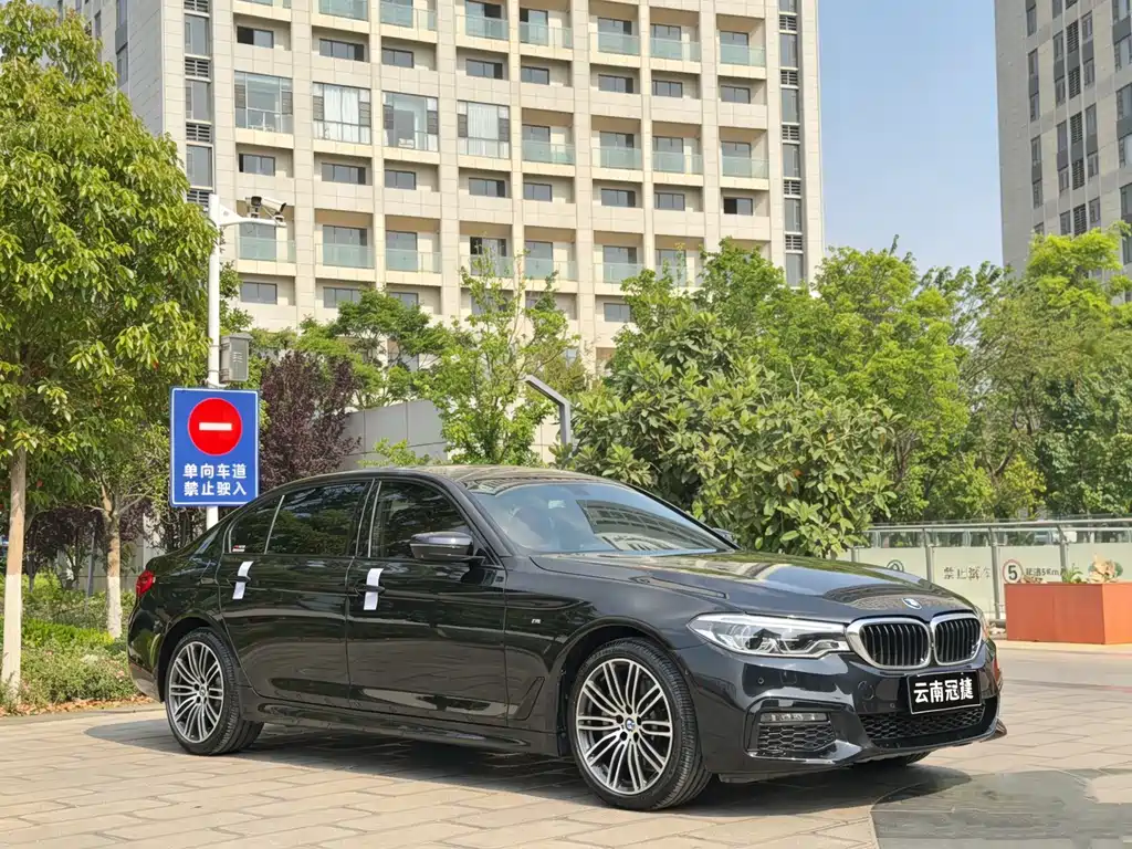 BMW 5 Series 2019 530Li Exclusive M Sports Package купить на сайте DeffCars
