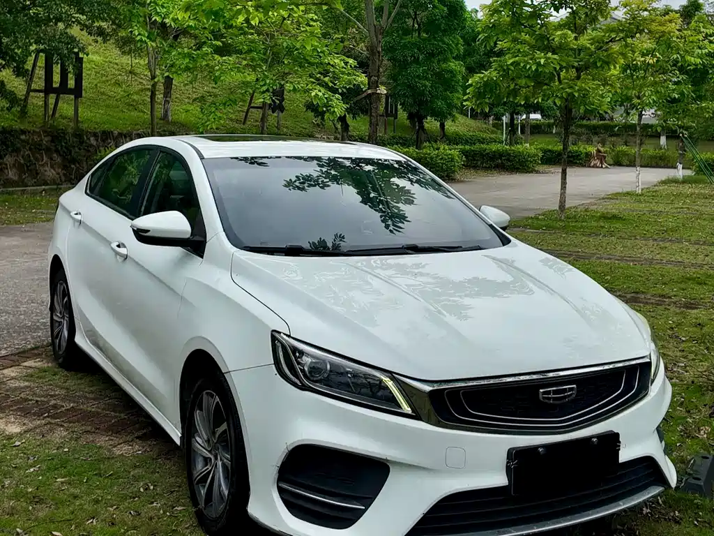 Binrui 2019 200T DCT Binchi Edition купить на сайте DeffCars