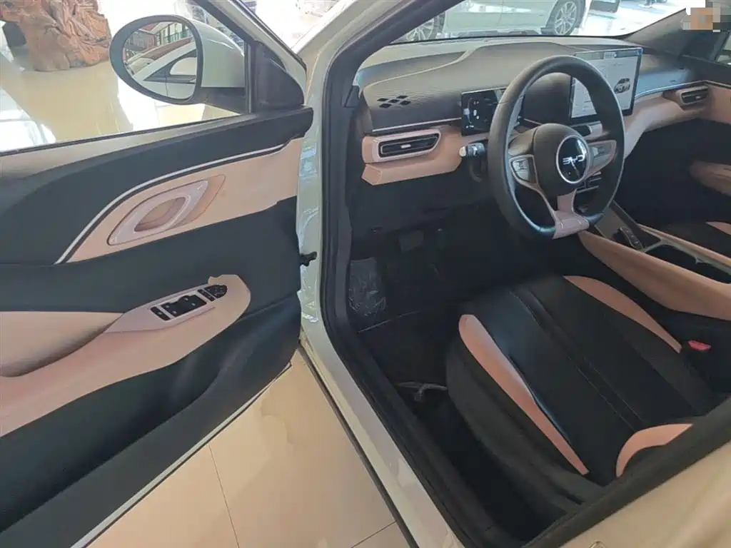 Seagull 2025 305km active version купить на сайте DeffCars