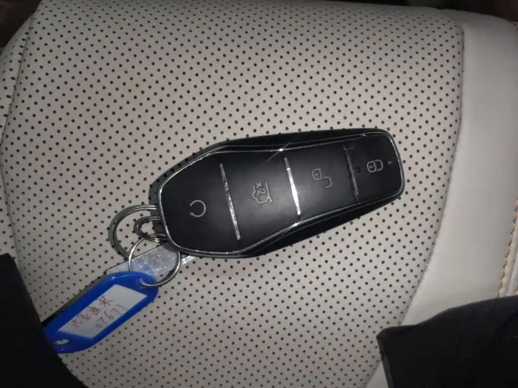 Song Pro New Energy 2024 Honor Edition DM-i 110km Excellent купить на сайте DeffCars