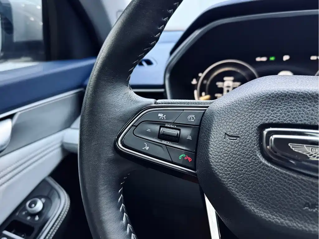 Xingrui 2021 facelift 2.0TD premium model купить на сайте DeffCars