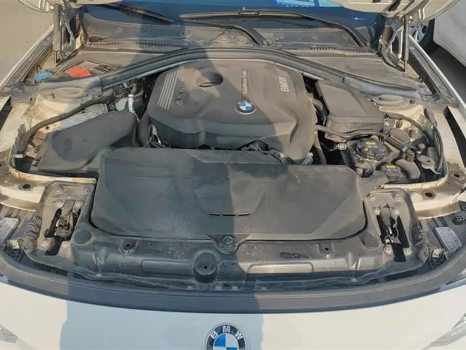 BMW 3 Series 2019 320Li M Sports Package купить на сайте DeffCars