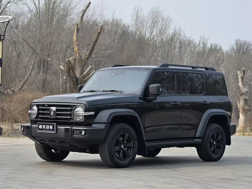 Tank 300 2024 2.0T Conqueror купить на сайте DeffCars