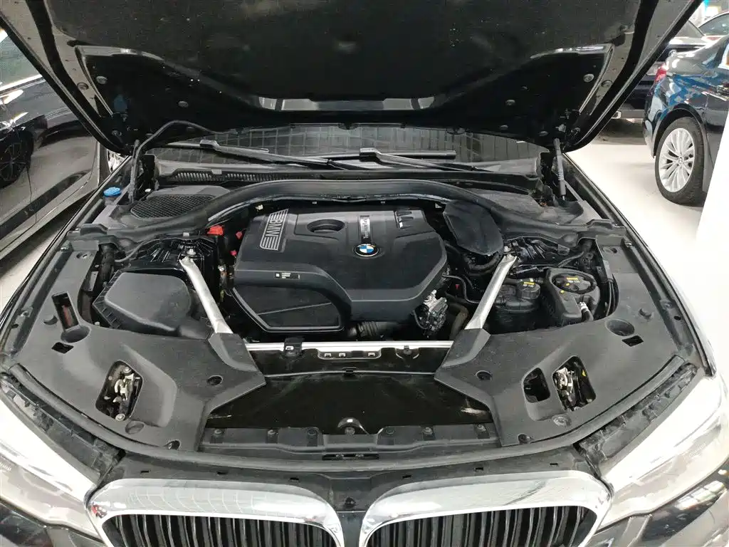 BMW 5 Series 2020 530Li Leading M Sports Package купить на сайте DeffCars