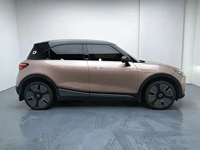 smart Elf #1 2022 Premium Edition купить на сайте DeffCars