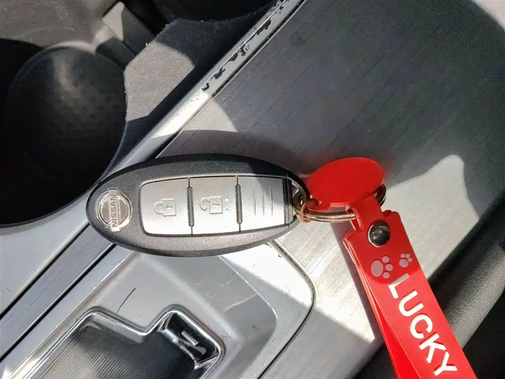 Loulan 2019 2.5L XE 2WD Elite Edition National VI купить на сайте DeffCars