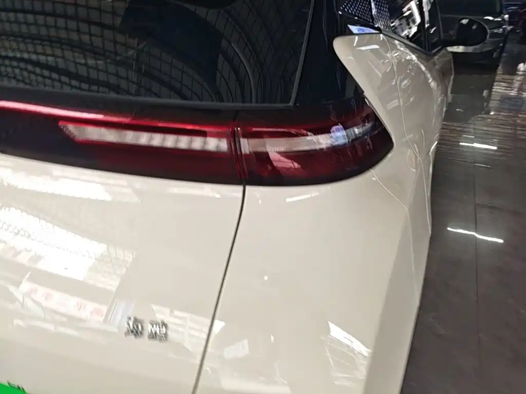 Seagull 2024 Honor Edition 305km Free купить на сайте DeffCars