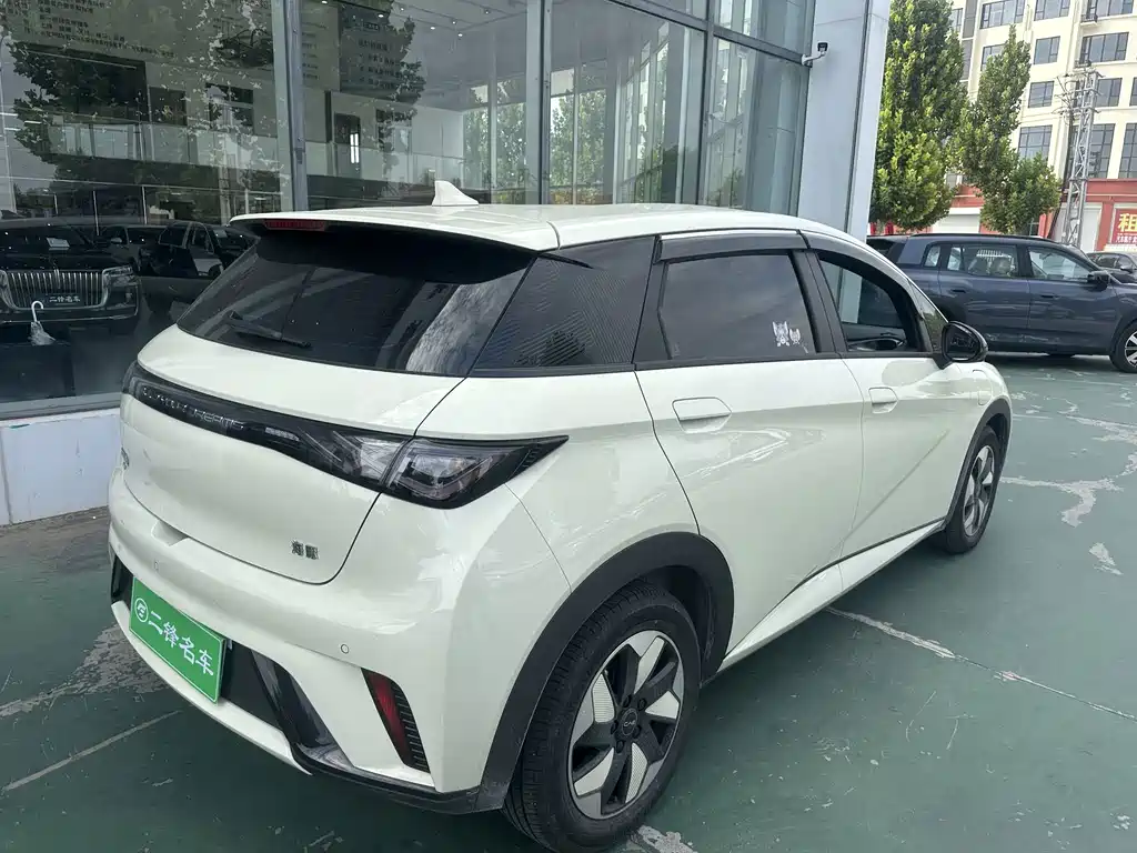 Dolphin 2025 420km Free Edition купить на сайте DeffCars