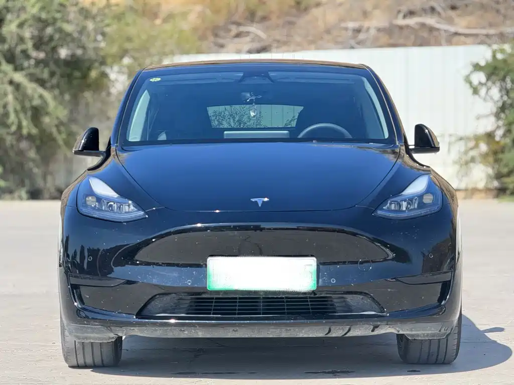 Model Y 2024 rear-wheel drive version купить на сайте DeffCars