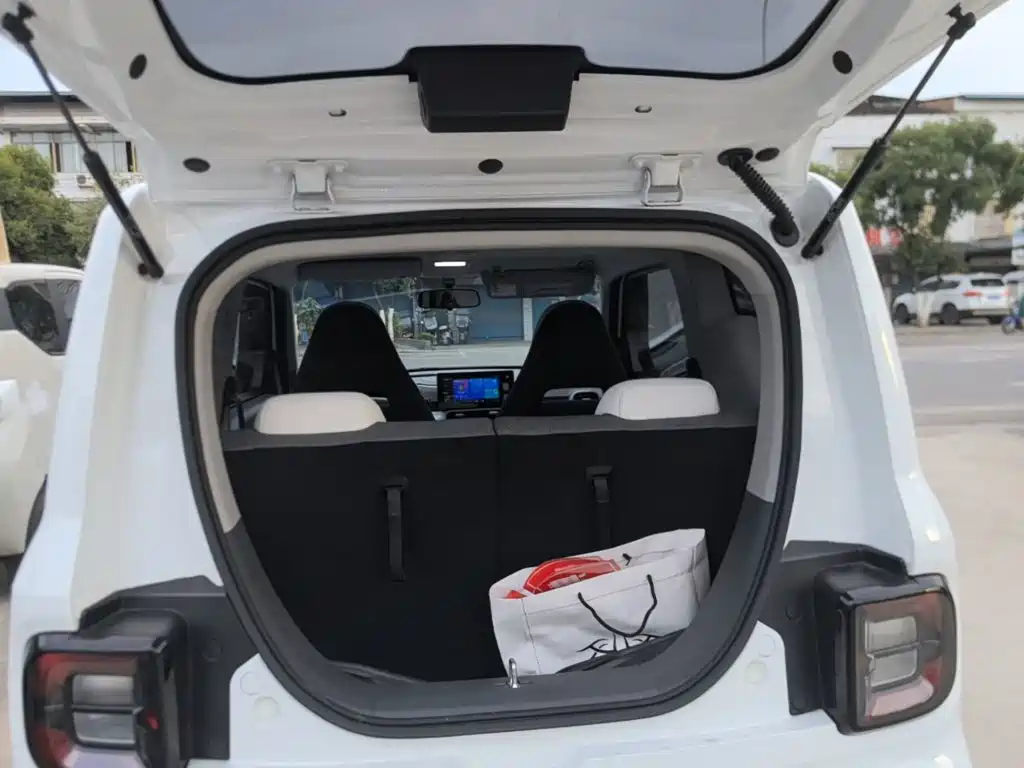 Panda 2025 Panda mini 210km Yuanqi Bear купить на сайте DeffCars