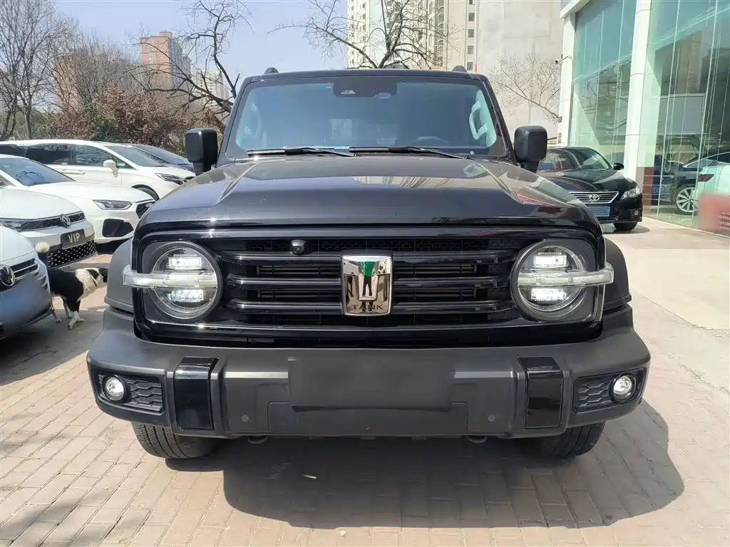 Tank 300 2023 Off-Road Version 2.0T Challenger купить на сайте DeffCars