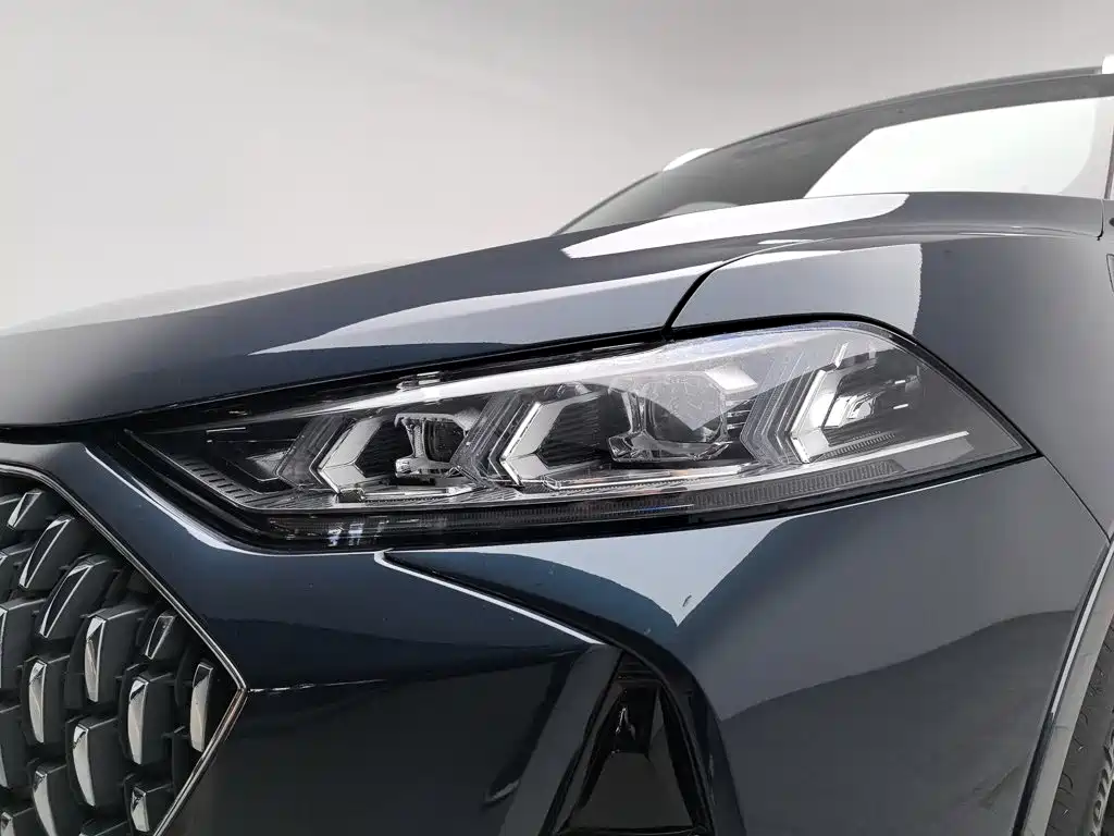 Wei brand Mocha 2021 2.0T two-wheel drive special version купить на сайте DeffCars