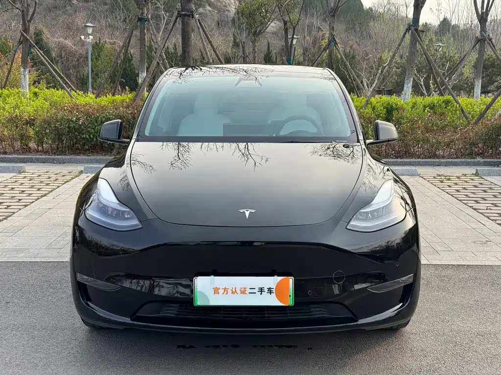 Model Y 2021 standard range rear-wheel drive version купить на сайте DeffCars