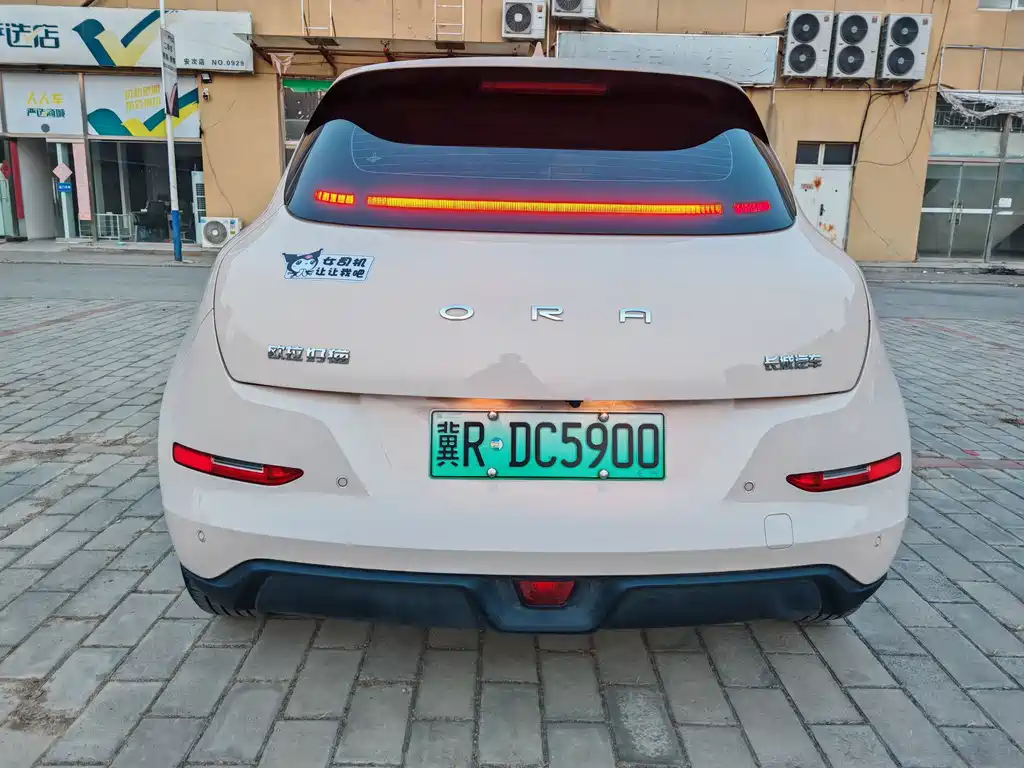 Euler Good Cat 2022 model 400km standard battery life premium type ternary lithium купить на сайте DeffCars