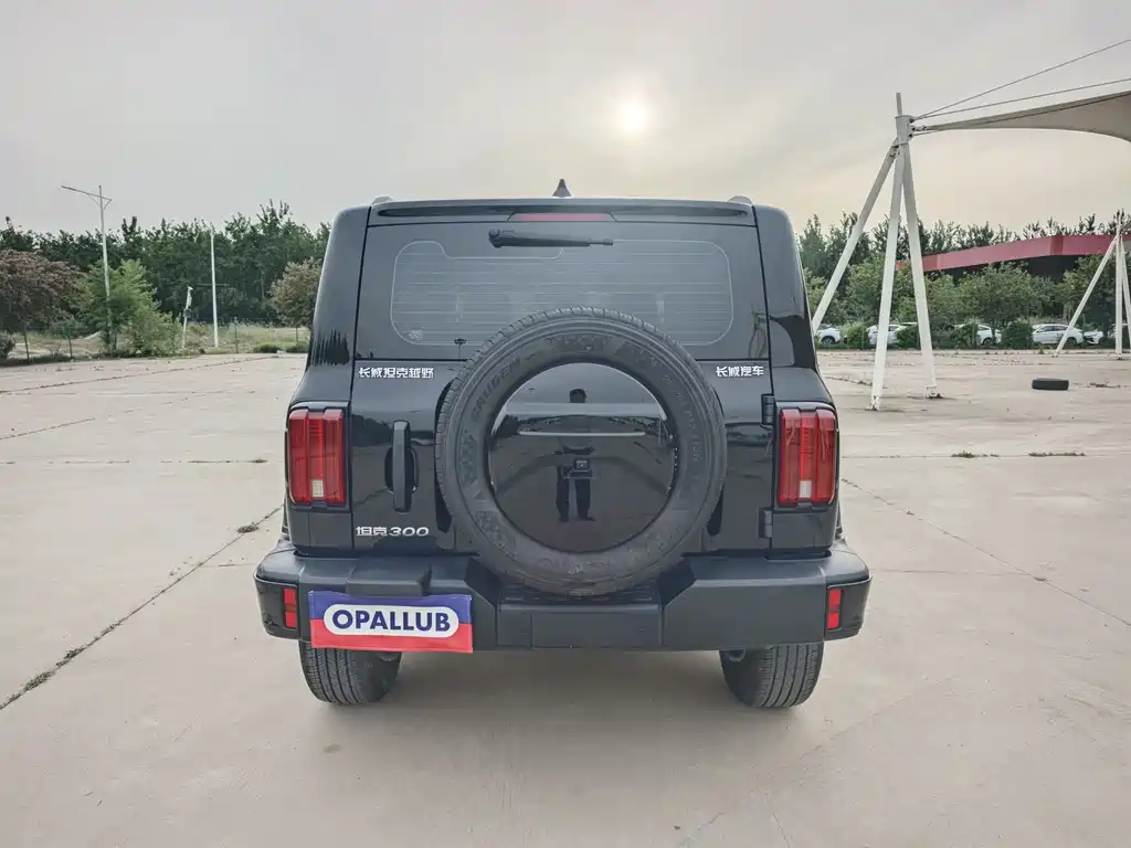 Tank 300 2024 2.0T Challenger купить на сайте DeffCars